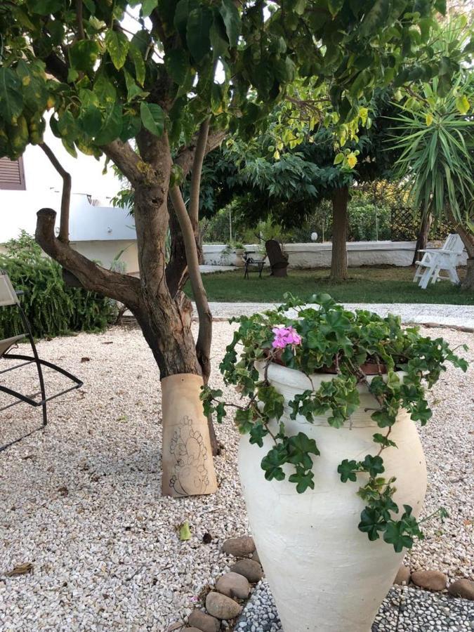 Il Gelso Nella Valle Agrigento Exteriör bild